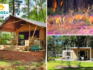 (Mid)week of weekend in een lounge of lodge (2-6 personen) + welkomstpakket