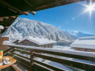 R&eacute;sidence Am&eacute;thystes D12 ski in/ski out