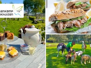 Lunchplank, zoete proeverij + poffertjes of kidsmenu