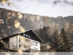 Picea am &Ouml;tzerhof