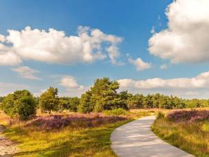 TOPDEAL! ⚡ Geniet van de natuurrijke omgeving van Drenthe met verblijf in een 4*-fletcher hotel met ZWEMBAD incl. ontbijt & diner