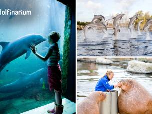 Entree voor het Dolfinarium