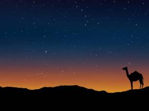 Slapen onder de sterren van Wahiba Sands