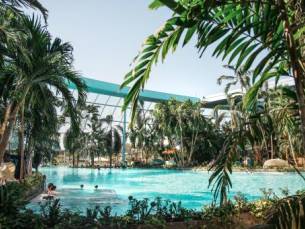 Azuurblauw water & Zuidzeepalmen incl. toegang tot het kruidenfestival van 09.03. - 13.03.2026