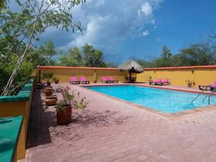 Dream of the Green Flamingo