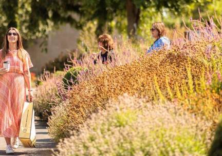 Ireland at a Glance o.b.v. Hotels