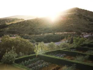 Fly-drive De Olijvenroute