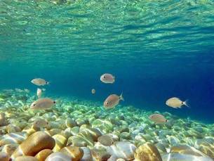 Eilandhoppen 8 dagen Paxos-Corfu 3*