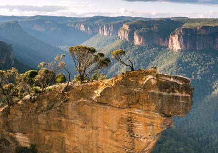 Kusten, Koraal en Regenwoud in Oost-Australi&euml; Superior
