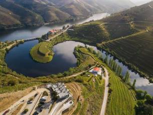 Vila Gale Douro Vineyards