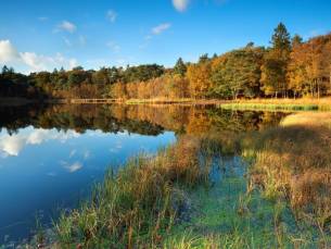 UNIEK OVERNACHTEN in Tweepersoonskamer of VRIJSTAAND huisje middenin de NATUUR nabij het Drents-Friese Wold