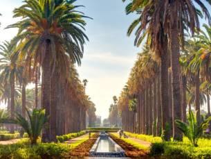 LAST-MINUTE DEAL! ⚡???? Ervaar de authentieke Marokkaanse sfeer tijdens een 10-daagse reis , bezoek levendige souks en ontdek historische steden als Casablanca, Essaouira, Agadir en Marrakech incl. ontbijt, retourvlucht en een huurauto!