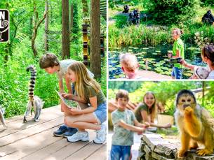 Dagentree voor Apenheul (evt. openingsweekend)