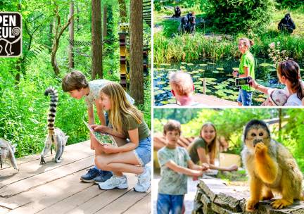 Dagentree voor Apenheul (evt. openingsweekend)