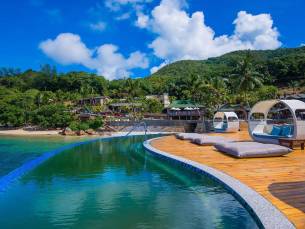 Coco de Mer en Black Parrot