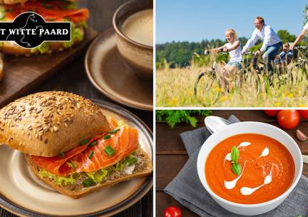2-gangen keuzelunch of wandel- of fietsarrangement
