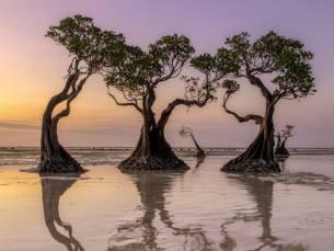 Lombok & Sumba Highlights