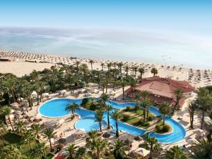 Riadh Palms