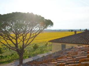 Le Terre dei Cavalieri Appartementen
