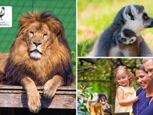 Entree voor Dierenpark Hoenderdaell