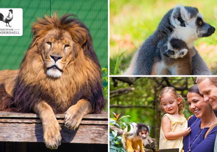 Entree voor Dierenpark Hoenderdaell