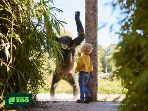 Entree Eindhoven Zoo
