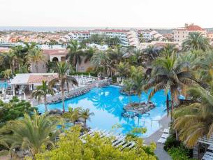 Palm Oasis