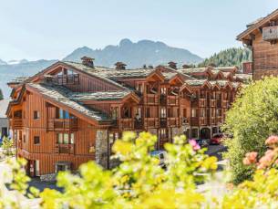 Les Chalets du Forum 2p 4/5p