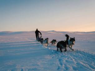 Ontdek het winteravontuur vanuit Geilo