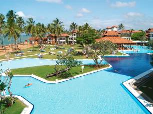 Club Dolphin