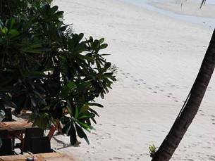 Samui Paradise Chaweng Beach Resort en Spa