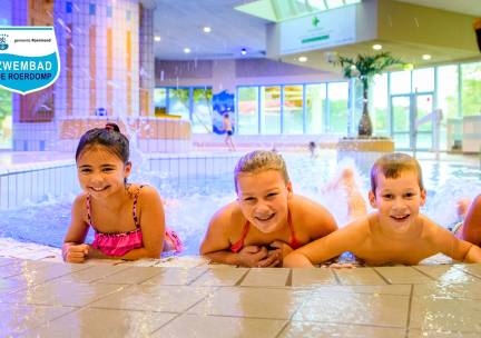 Entree recreatiezwemmen (2 of 3 pers) bij Zwembad de Roerdomp