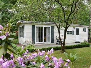 Bospark Doornspijk heerlijk chalet