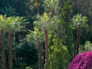 Es Saadi Marrakech Resort - The Palace