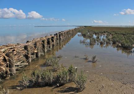Presentatie met wandelexcursie over Noard-Fryslân Bûtendyks in Hallum