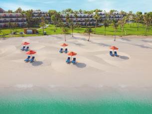 JA Palm Tree Court