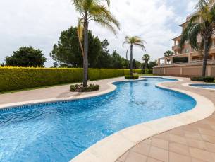 Buganvilla
