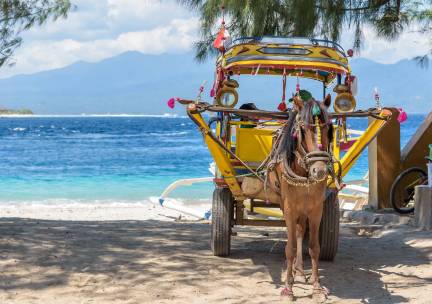 Bali, Gili en Lombok