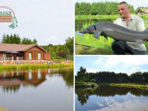 Vissen (4 uur of dagkaart) op steur en meerval incl. hengel en aas + sundae