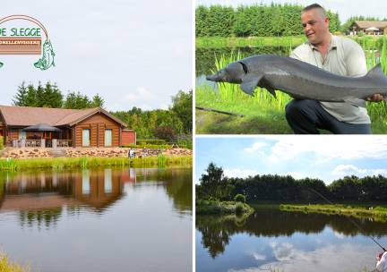 Vissen (4 uur of dagkaart) op steur en meerval incl. hengel en aas + sundae