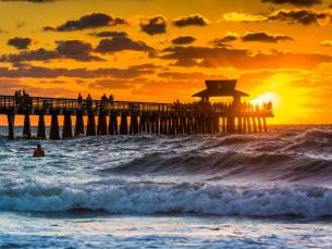 Highlights Florida Superior