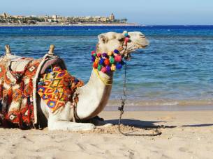 Berlin - Hurghada