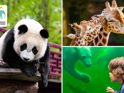 Entree voor Ouwehands Dierenpark Rhenen