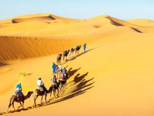 Woestijnsafari in Jaisalmer