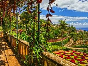 Vlieg-busreis Bloemrijk Madeira