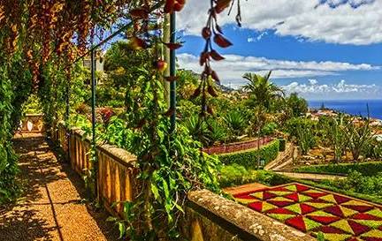 Vlieg-busreis Bloemrijk Madeira