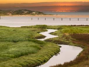 Comfortabel hotel in Terneuzen nabij de Westerschelde en de Zeeuwse kust. Incl. ontbijt en GRATIS parkeren!