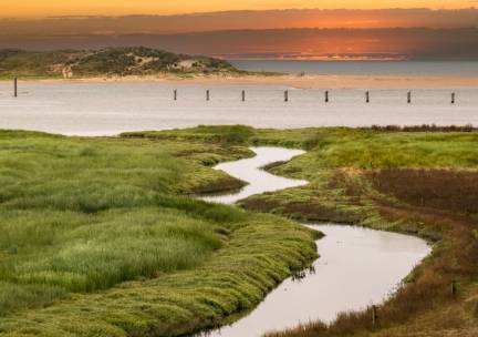 Comfortabel hotel in Terneuzen nabij de Westerschelde en de Zeeuwse kust. Incl. ontbijt en GRATIS parkeren!