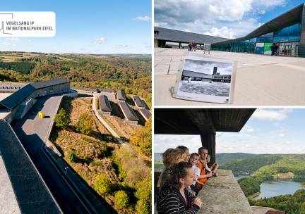 Toegang tentoonstelling 'NS-Dokumentation' + drankje + stuk taart + evt. rondleiding (90 min)