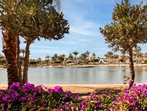 Pharaoh Azur Resort